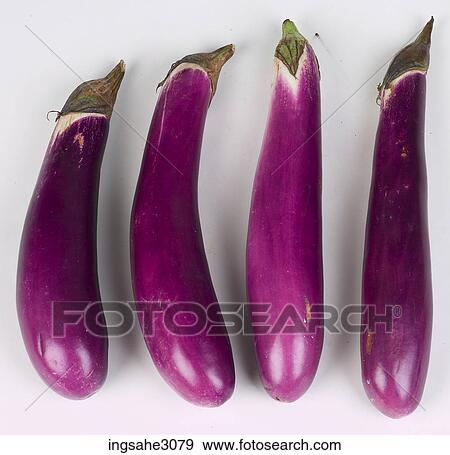 Chinese eggplant View Large Photo Image Stock Photo - Chinese eggplant . Fotosearch
