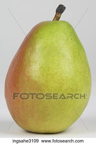 Comice pear View Large Photo Image Stock Photo - Comice pear . Fotosearch