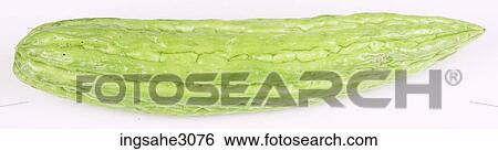 cucumber View Large Photo Image Stock Photograph - cucumber . Fotosearch