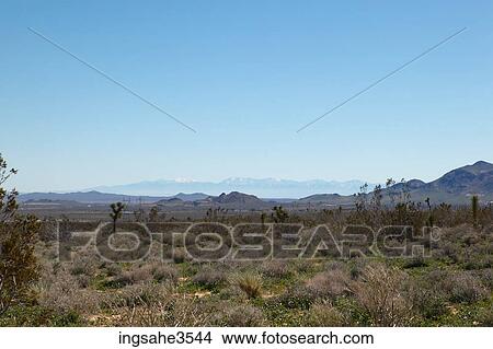 Picture - Desert landscape . Fotosearch