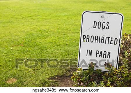 Dogs prohibited sign and lawn View Large Photo Image Stock Photography - Dogs prohibited sign and lawn . Fotosearch