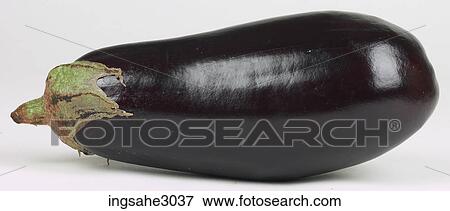 eggplant View Large Photo Image Stock Photo - eggplant . Fotosearch