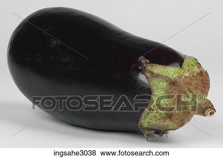 eggplant View Large Photo Image Stock Photo - eggplant . Fotosearch