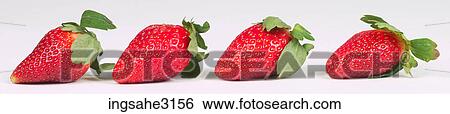 four strawberries View Large Photo Image Stock Photograph - four strawberries . Fotosearch