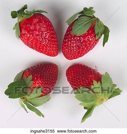four strawberries View Large Photo Image Stock Photography - four strawberries . Fotosearch