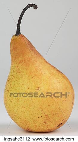 French butter pear View Large Photo Image Stock Image - French butter pear . Fotosearch