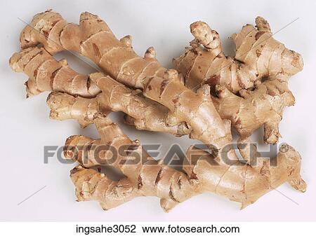 ginger View Large Photo Image Stock Image - ginger . Fotosearch