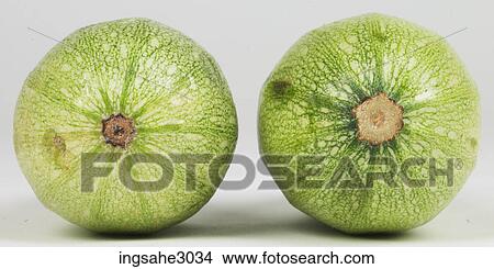 gourds View Large Photo Image Picture - gourds . Fotosearch