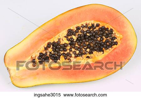 Stock Photography - green papaya . Fotosearch