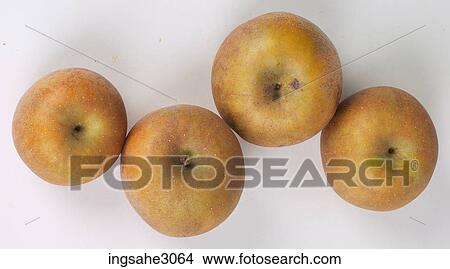 Picture - Group of apples . Fotosearch