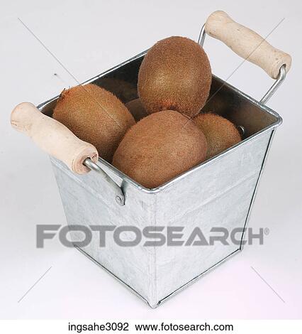 kiwi fruit in a basket View Large Photo Image Stock Image - kiwi fruit in a basket . Fotosearch