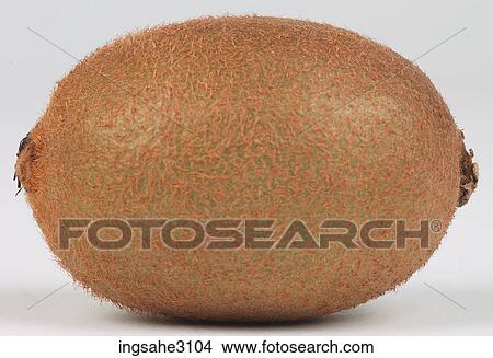 kiwi fruit View Large Photo Image Picture - kiwi fruit . Fotosearch