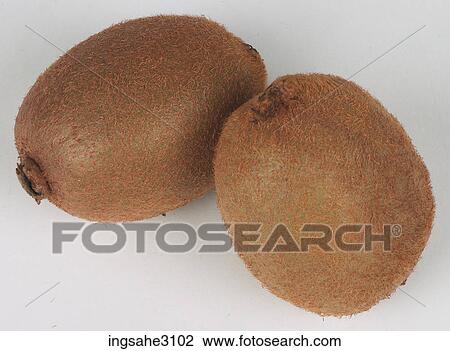 kiwi fruits View Large Photo Image Stock Image - kiwi fruits . Fotosearch