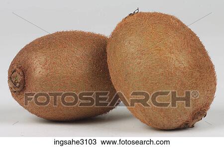 kiwi fruits View Large Photo Image Stock Image - kiwi fruits . Fotosearch