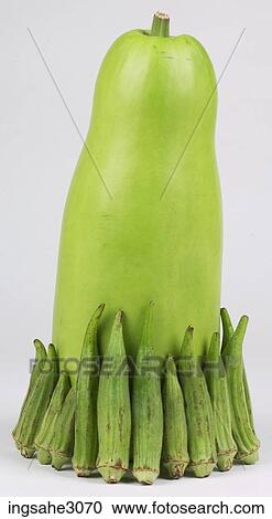 lady fingers View Large Photo Image Stock Image - lady fingers . Fotosearch