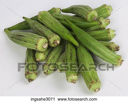 lady fingers View Large Photo Image Stock Image - lady fingers . Fotosearch