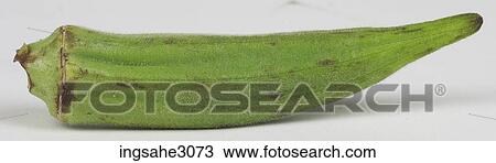 Stock Image - lady fingers . Fotosearch