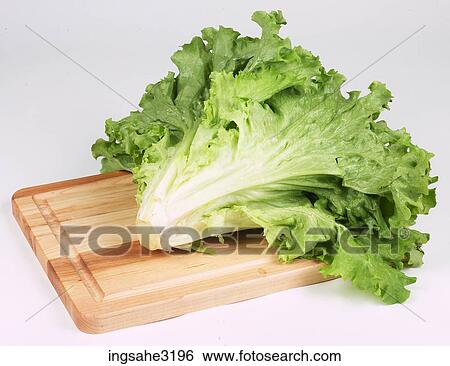 leaf lettuce View Large Photo Image Stock Photograph - leaf lettuce . Fotosearch