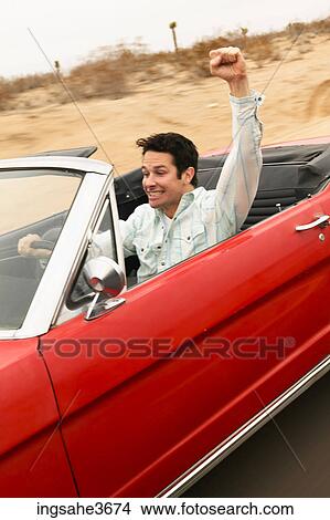 Male young adult driving car View Large Photo Image Picture - Male young adult driving car . Fotosearch