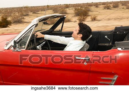 Male young adult driving car View Large Photo Image Picture - Male young adult driving car . Fotosearch