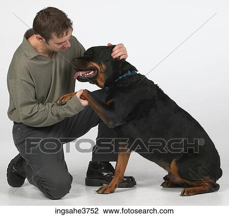 Man and dog View Large Photo Image Stock Image - Man and dog . Fotosearch