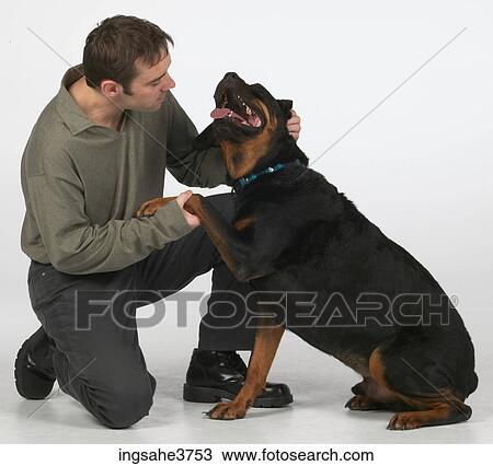 Man and dog View Large Photo Image Stock Image - Man and dog . Fotosearch