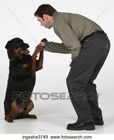 Man and dog View Large Photo Image Stock Photo - Man and dog . Fotosearch