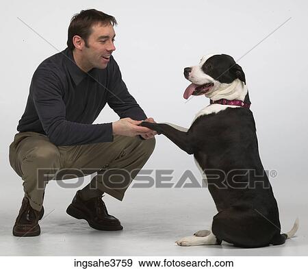 Man and dog View Large Photo Image Stock Photo - Man and dog . Fotosearch