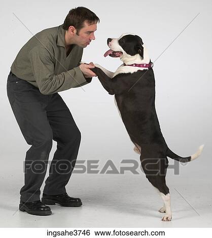Man and dog View Large Photo Image Stock Photograph - Man and dog . Fotosearch