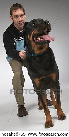 Man and dog View Large Photo Image Stock Photography - Man and dog . Fotosearch
