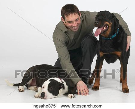 Man and dogs View Large Photo Image Stock Image - Man and dogs . Fotosearch