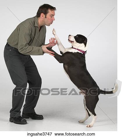 Stock Photo - Man playing with a pet dog . Fotosearch