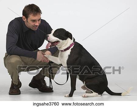 Stock Image - Man shaking hands with a dog . Fotosearch