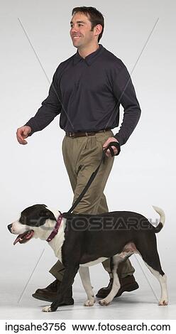 Man walking dog View Large Photo Image Stock Photograph - Man walking dog . Fotosearch