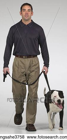 Man walking with a dog View Large Photo Image Stock Photo - Man walking with a dog . Fotosearch