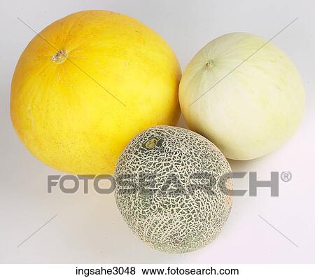 melon View Large Photo Image Stock Photo - melon. Fotosearch