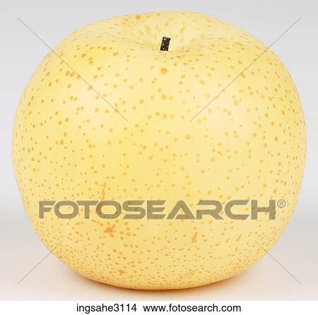 Mutsu apple View Large Photo Image Picture - Mutsu apple . Fotosearch