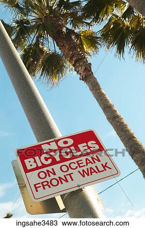 No bicycles sign and palm trees View Large Photo Image Stock Image - No bicycles sign and palm trees . Fotosearch