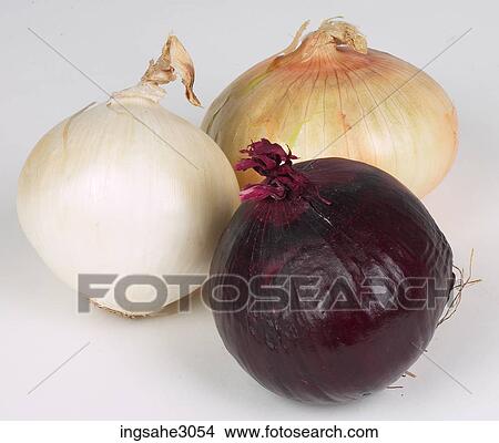 onions View Large Photo Image Picture - onions . Fotosearch