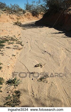 Parched stream bed View Large Photo Image Picture - Parched stream bed . Fotosearch