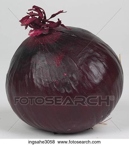red onion View Large Photo Image Stock Photo - red onion . Fotosearch