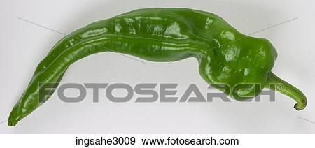 shisito pepper View Large Photo Image Stock Photo - shisito pepper . Fotosearch