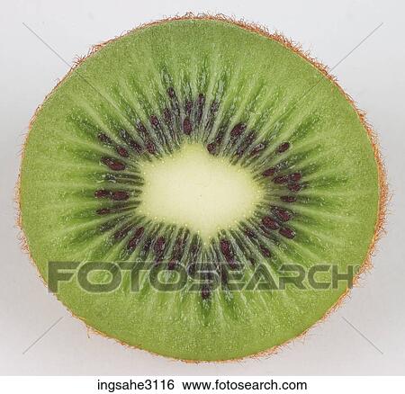 sliced kiwi fruit View Large Photo Image Stock Photograph - sliced kiwi fruit . Fotosearch