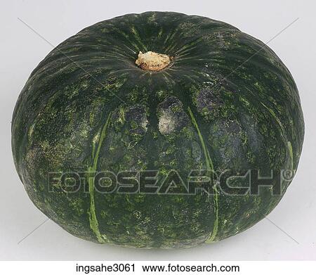 squash View Large Photo Image Stock Image - squash . Fotosearch