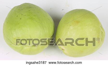 squash View Large Photo Image Stock Photo - squash . Fotosearch