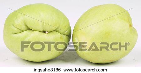 squash View Large Photo Image Stock Photograph - squash . Fotosearch