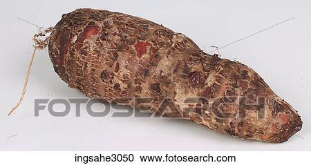 sweet potato View Large Photo Image Stock Image - sweet potato . Fotosearch