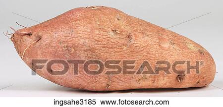 sweet potato View Large Photo Image Stock Photography - sweet potato . Fotosearch