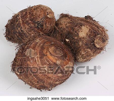 sweet potatoes View Large Photo Image Stock Image - sweet potatoes . Fotosearch
