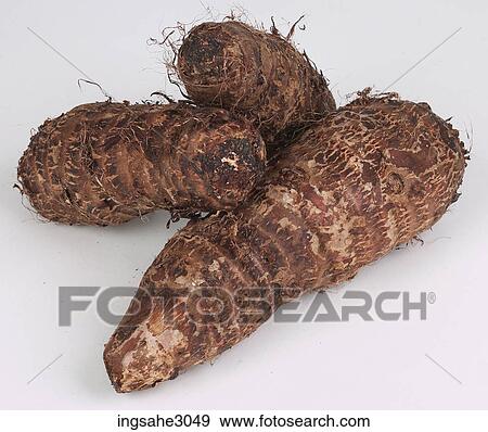 Stock Photo - sweet potatoes . Fotosearch
